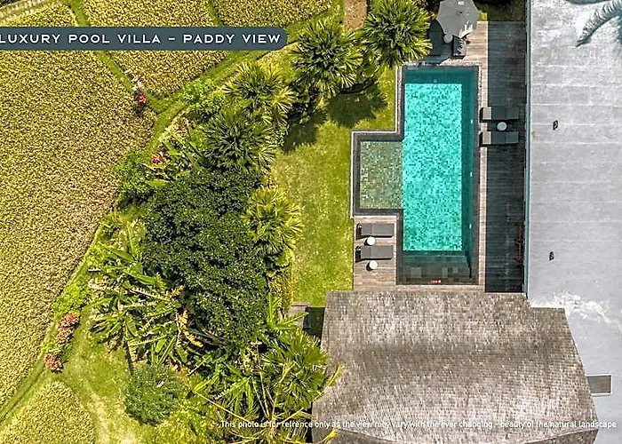 Hotel K Club Ubud